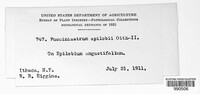 Image Associated With the Occurence